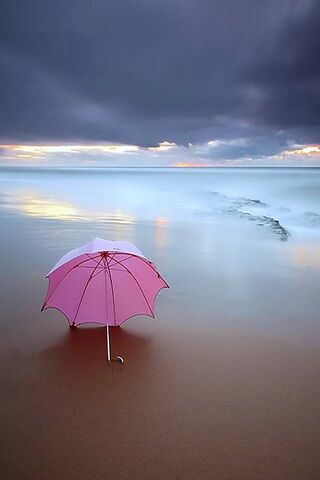 Lonely Umbrella