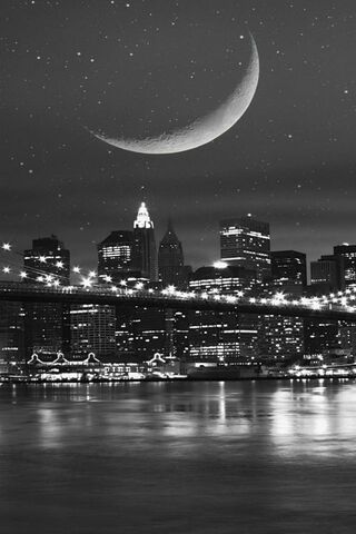 Moonlit Dreams Over New..