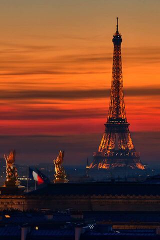 Twilight Elegance: The ..
