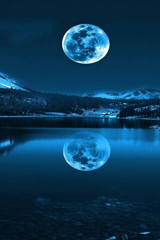 Serenity Under the Moonlight 🌙✨
