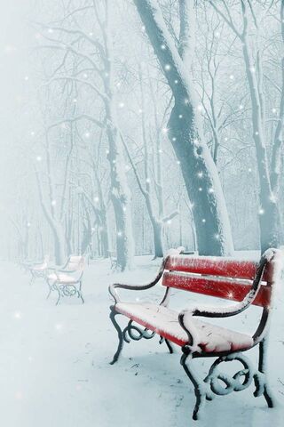 Winter Wonderland at Winter Park ❄️🌲