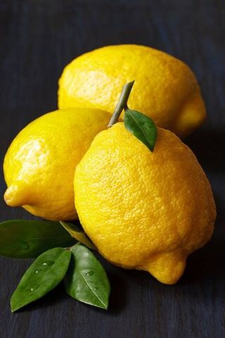 Zesty Sunshine: The Brightness of Lemons 🍋☀️