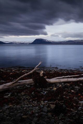 Chill Serenity: A Winter's Embrace at the Beach 🌊❄️