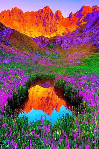 Nature's Vibrant Palette 🌸🏞️