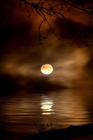 Mystical Reflections: A Golden Moonlit Night 🌕✨