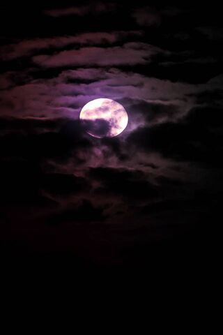 Purple Moonlight