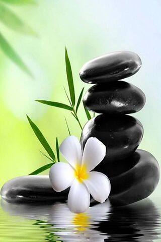 Tranquil Balance: The A..