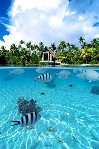 Serenity Beneath the Wa..