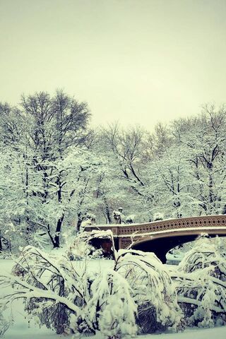 Winter Wonderland in Central Park ❄️🌨️