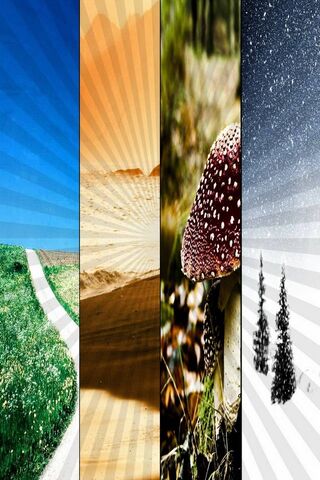 Nature's Fourfold Symphony: A Journey Through the Seasons 🌍🍂❄️🌸