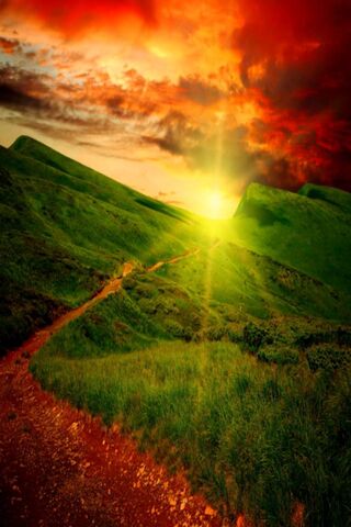 Golden Horizon: Nature's Evening Glow 🌅✨