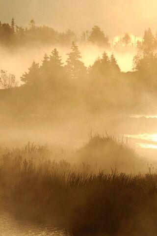 Mystical Mists of Vapors 🌫️✨