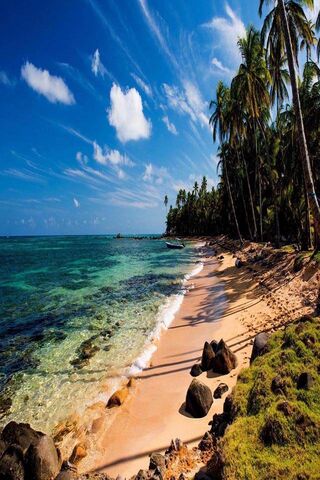 Paradise Found: A Tropical Escape 🌴🌊