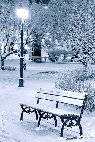 Winter Wonderland at Winter Park ❄️🌨️