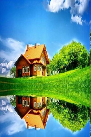 Serenity in Reflection 🌳🏡