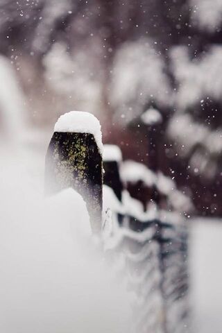 Whispers of Winter: A Snowy Embrace ❄️✨