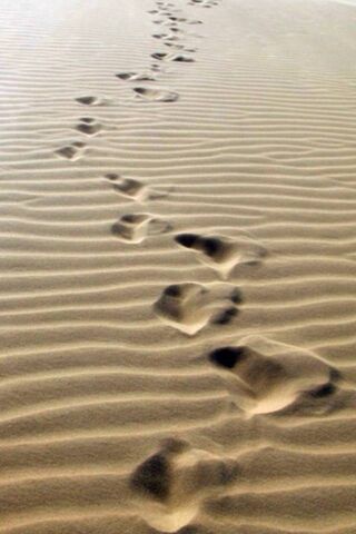 Journey Through the Sands of Time