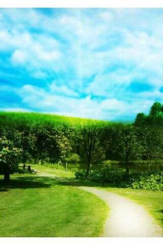 Journey Through Nature's Embrace 🌳✨