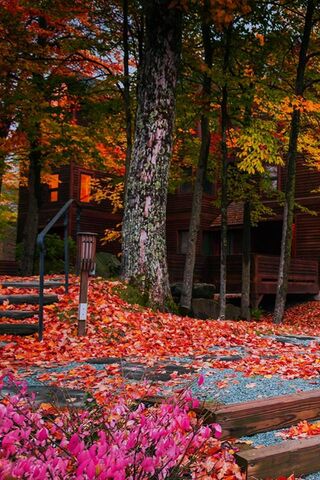Autumn Serenity: A Cozy Retreat 🍂🏡
