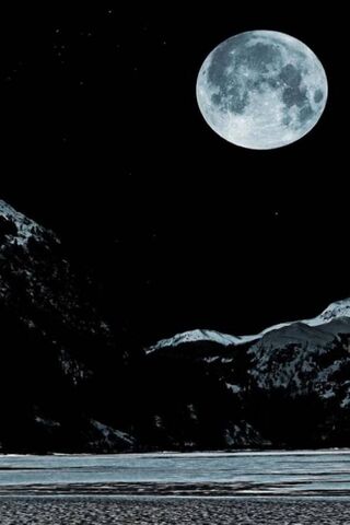 Luminous Night: The Enc..