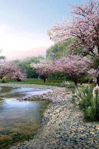 Blossoms by the Stream:..