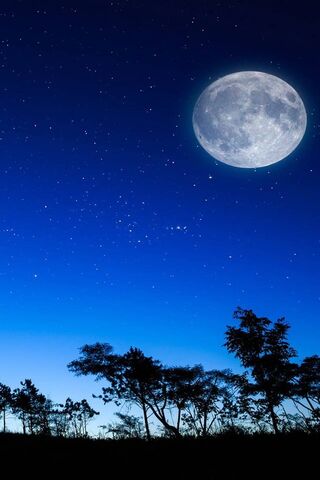 Celestial Serenity: A Night Under the Stars 🌌🌙