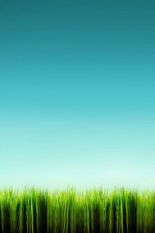 Paz: A Serene Green Escape 🌿✨