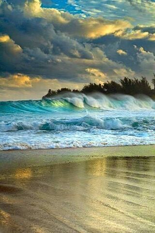 Waves of Tranquility: A..