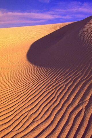 Desert