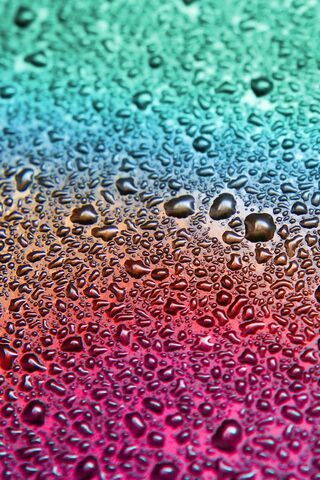 Colorful Drops of Nature's Art 🎨💧