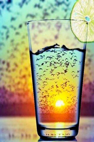 Sipping the Sunset 🌅🍹