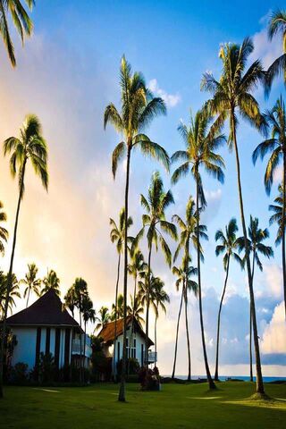 Tropical Paradise: Beachfront Bliss 🌴🏖️