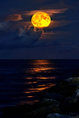 Moonlit Serenity at Jupiter Beach 🌕🌊