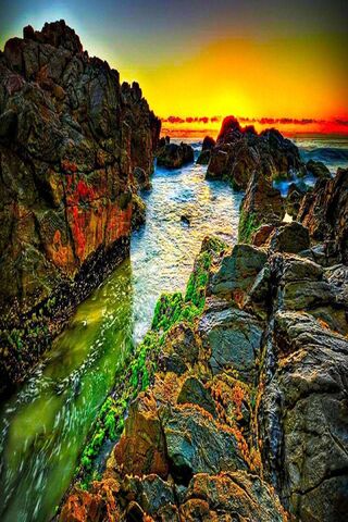 Sunset Serenity: Nature's Masterpiece 🌅🌊