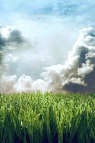 Cloudy Grass