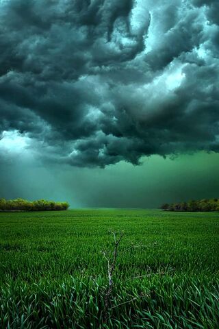 Whispers of a Stormy Sky 🌩️🌿