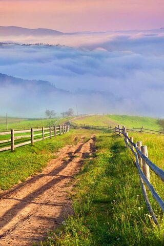 Serenity in the Countryside 🌄🌿