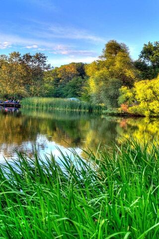 Serenity by the Water: A River's Embrace 🌊🌿