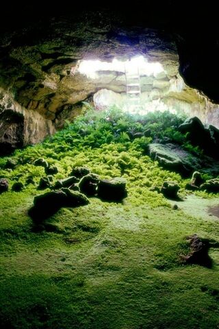 Lava Tube Caves