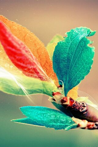 Vibrant Life: The Colors of Nature 🌿🌈