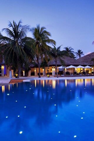 Tropical Bliss: A Slice of Paradise 🌴✨