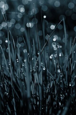 Mystical Blue Grass Serenity 🌌✨