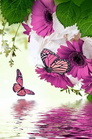 Floral Butterflies
