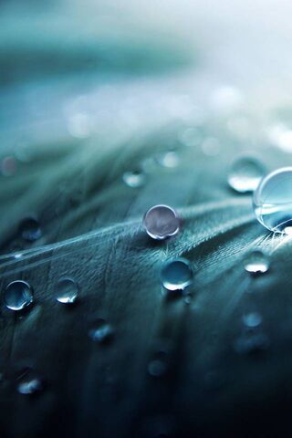 Water Drops
