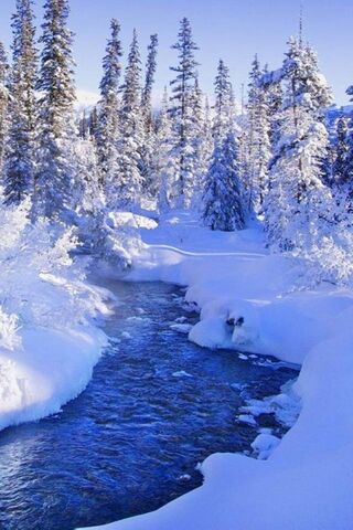 Winter Wonderland: Natu..