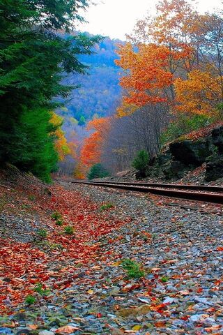 Autumn's Embrace: A Jou..