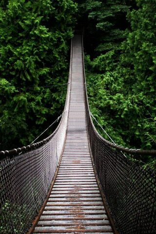 Narrow Bridgee
