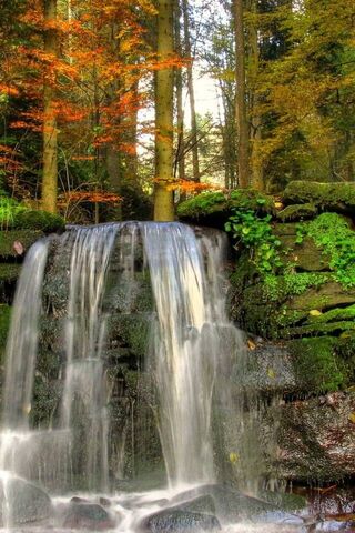 Nature's Serene Cascade..