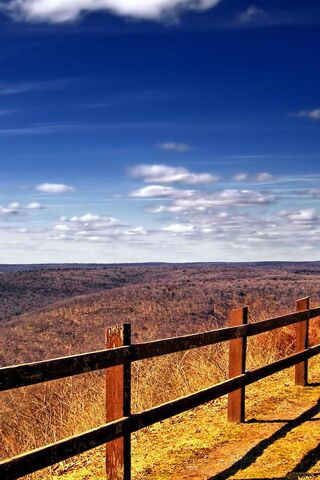 Nature's Serenity: A Peaceful Escape 🌄