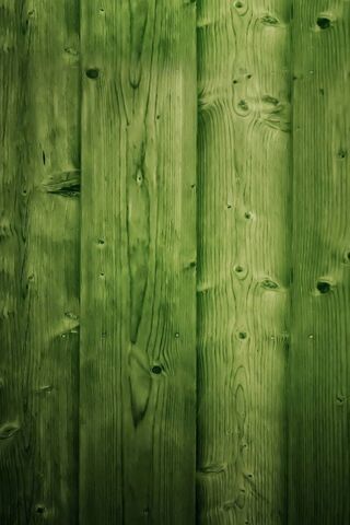Nature's Canvas: The Gr..